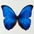 AK's Avatar