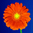 lynzee601's Avatar