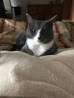 ButterBreath's Avatar